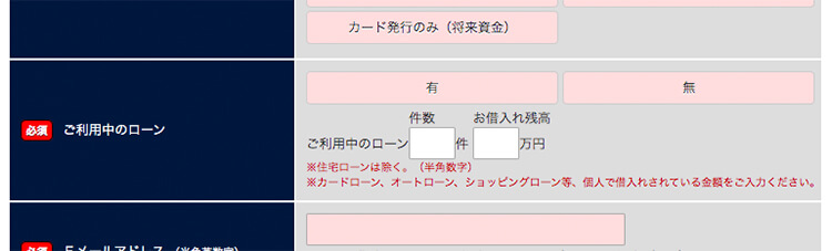 オリックスvipローンカードで審査に通るには 金利や特徴についてわかる